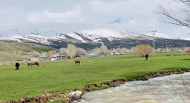 Ağrı'da iki mevsim bir arada