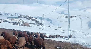 Ağrı'da Nisan ayında kar yağışı yolları kapattı
