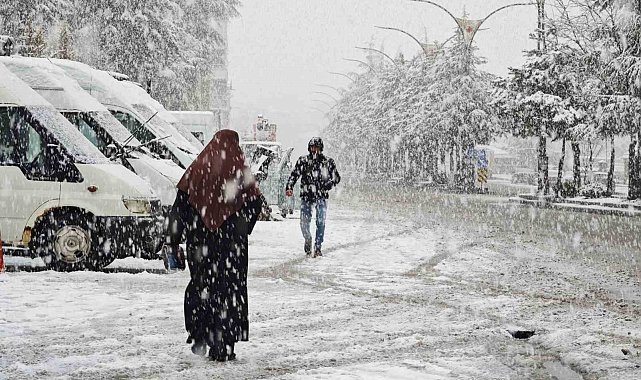 Ahlat'ta nisan karı etkili oldu