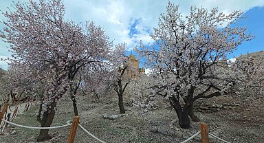 Akdamar Adası'nda renk cümbüşü
