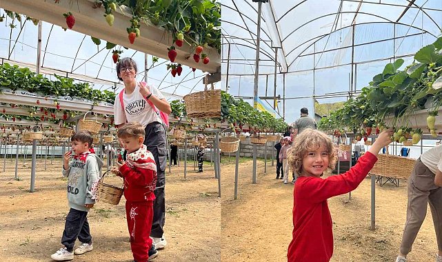 ALKÜ'lü minikler fidan dikip çilek topladı