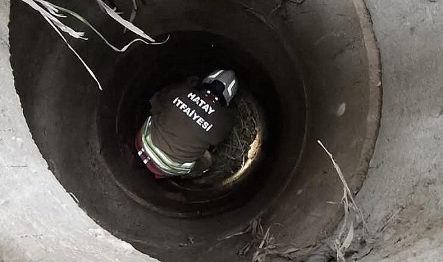 Antakya'da kuyuya düşen köpeği itfaiye kurtardı