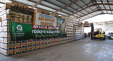 Antalya Büyükşehir'den arıcılara kovan desteği