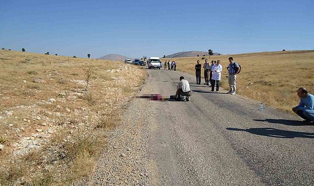 Antalya'da 15 yıllık cinayetin sırrı DNA eşleşmesi ile çözüldü
