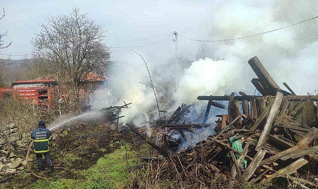 Araç yangını odunluğa sıçradı