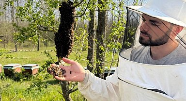 Arıcılara sahada destek