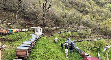 Artvin apiturizmde gelecek vadediyor