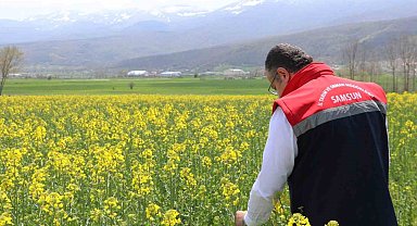 Ayçiçeği ve kuru fasulye tohumları çiftçilere teslim edildi