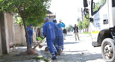 Aydın Büyükşehir'den, çevre düzenleme ve bakım çalışması