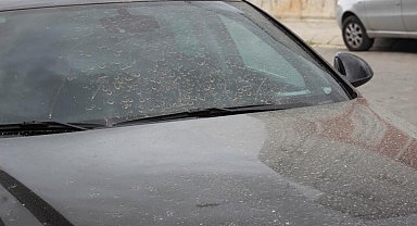 Aydın'da toz taşınımı bekleniyor