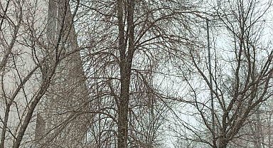 Bahar gelmeden kış geri döndü; Diyadin'e kar sürprizi