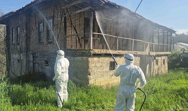 Bartın'da kahverengi kokarca kış uykusunda yok edilecek