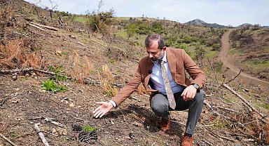 Başkan Işık'tan yeşil Gürsu çağrısı