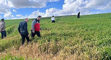 Batman'da çiftçilere 'yanlış ilaçlama' uyarısı