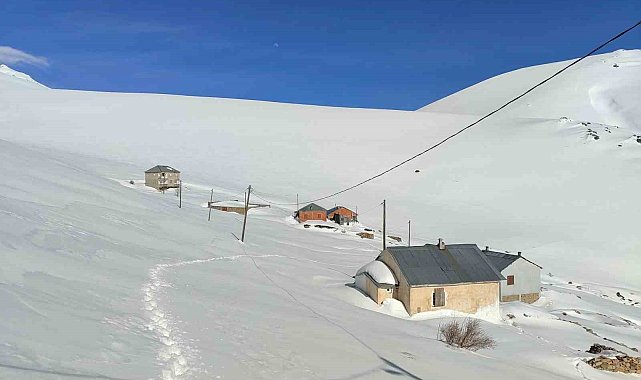 Bayburt'ta ayı saldırılarının yaşandığı yaylada ulaşım sorunu sürüyor