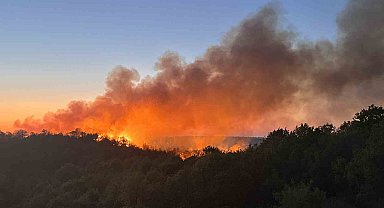 Beykoz'da 3 hektarlık alan küle döndü: Yangına müdahale devam ediyor
