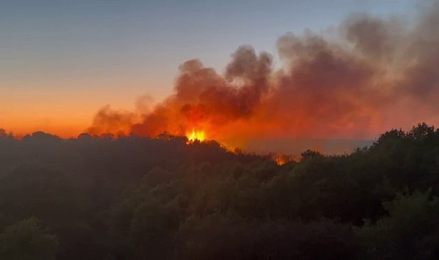 Beykoz'daki yangını söndürme çalışmaları devam ediyor