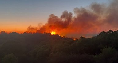 Beykoz'daki yangını söndürme çalışmaları devam ediyor
