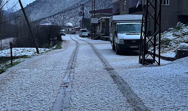 Beytüşşebap'ta dolu yağışı her yeri beyaza bürüdü