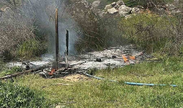 Bilecik'te otluk alanda çıkan yangın korkuttu