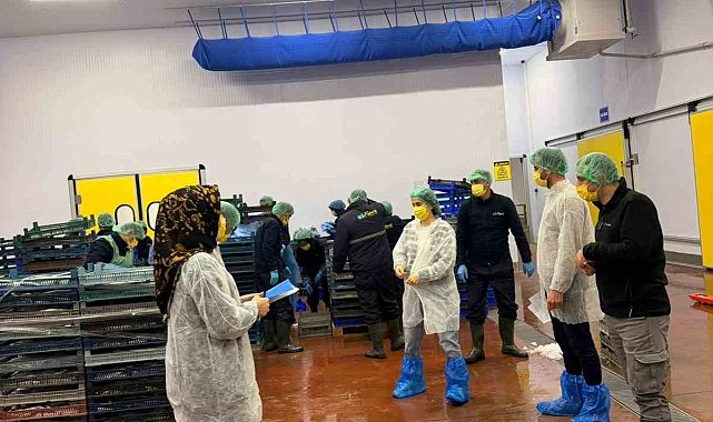 Bingöl'de balık işleme tesisleri denetlendi