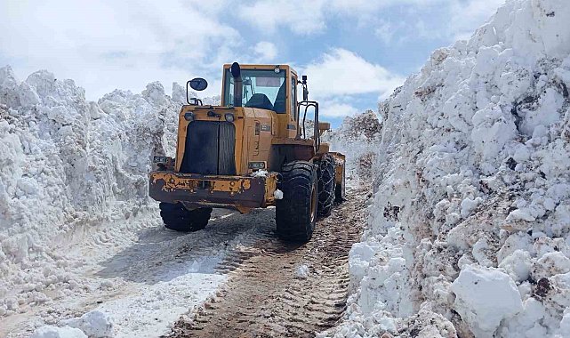 Bingöl'de metrelerce karla mücadele