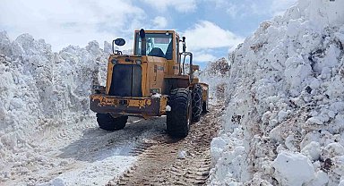 Bingöl'de metrelerce karla mücadele