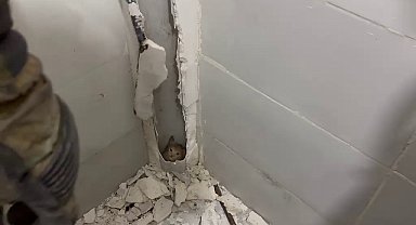 Boruda mahsur kalan kedi duvar kırılarak kurtarıldı