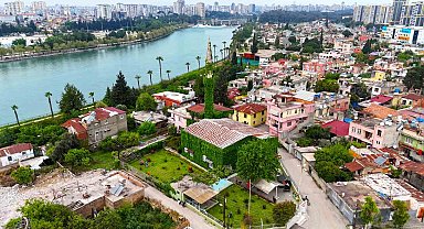 Botanik bahçeyi andıran cami, yeniden sarmaşıklarına kavuştu