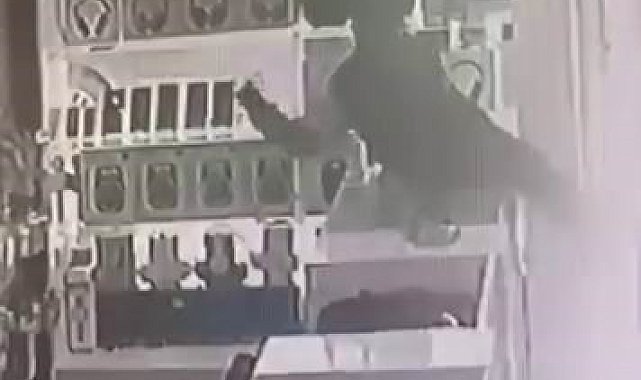 Böyle hırsızlık görülmedi: Masanın üstüne çıkıp vitrindeki telefonları alarak kaçtı