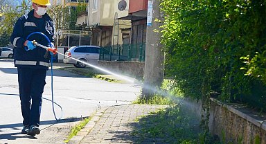 Bu ili kokarcalar istila etti