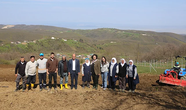 Bursa Nilüfer'de atıl araziler bereketleniyor