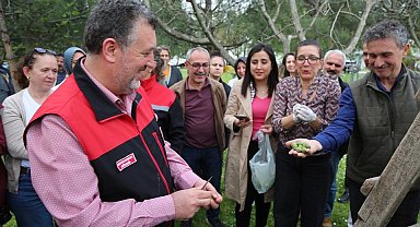 Bursa siyahı incirde sıkı denetim
