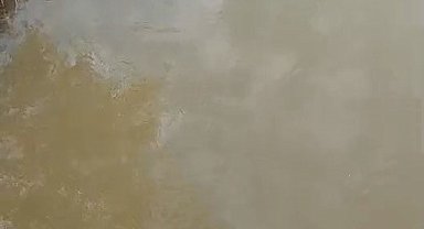 Bursa'da deredeki su samuru şaşırttı