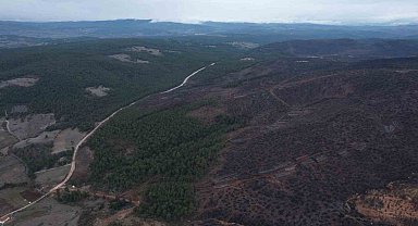 Bursa'da tarihin en büyük orman yangınında yaralar böyle sarıldı
