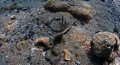 Büyükşehir'den Yat Limanı'nda deniz dip temizliği