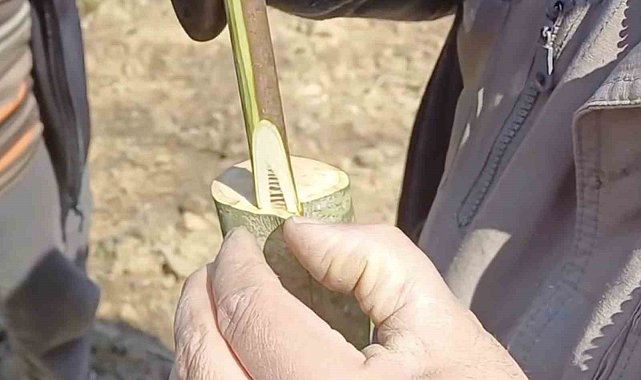 Çanakkale'de 'Aşı Akademisi'