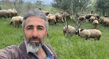 Çeşme sakızı ile Fransız koçunu birleştirdi, verimi katladı