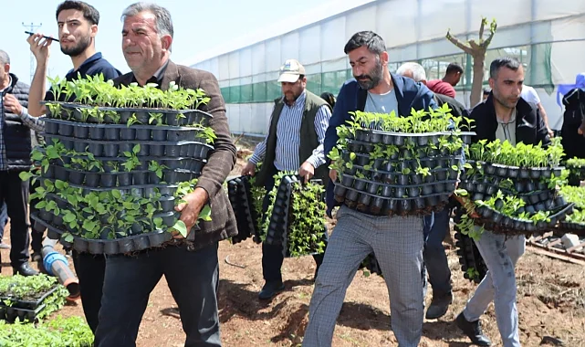 Çiftçiye 1 milyon fide desteği