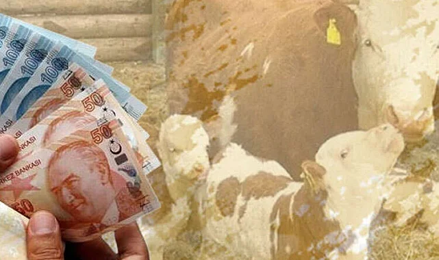 Çiftçiye 350,9 milyon TL destek ödemesi hesaplarda