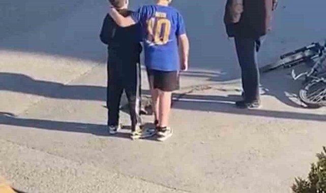 Çocuklar yaralı kedinin üzerini örtüp, başında nöbet tuttu