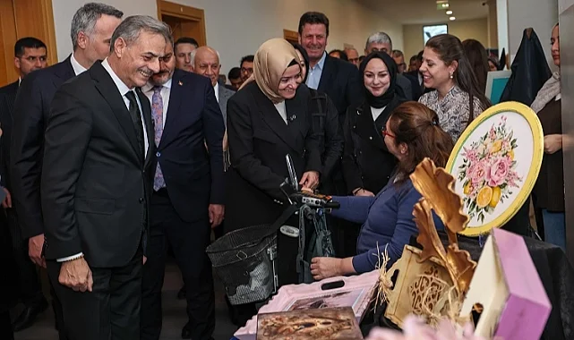 Cumhurbaşkanı ödüllü projeyle Sakarya'da ulaşımda engeller kalktı