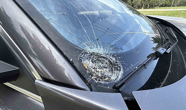 D-100'de cipin çarptığı yaşlı adam hayatını kaybetti