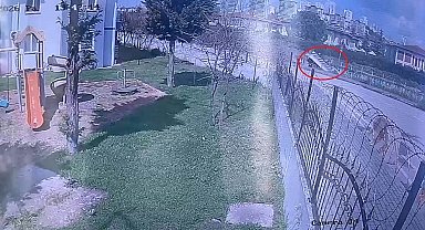 Dereye uçan kamyonetin sürücüsü hayatını kaybetti