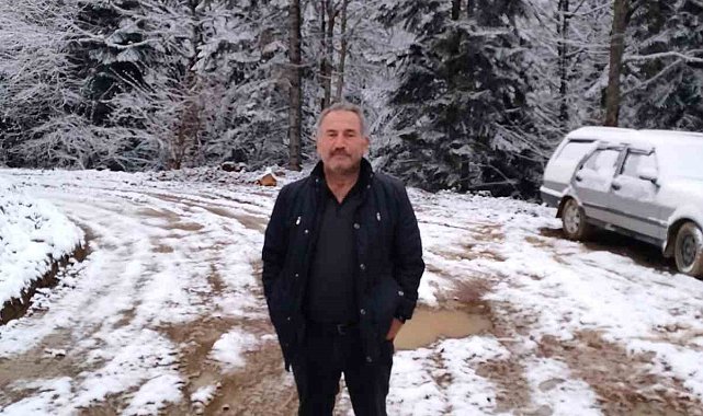 Devrilen ağacın altında kalan işçi hayatını kaybetti