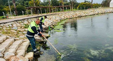 Didim'de temizlik ve düzenleme çalışmaları sürüyor