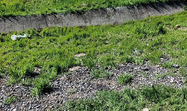 Diyarbakır'da trafik kazası: 1'i ağır 4 yaralı