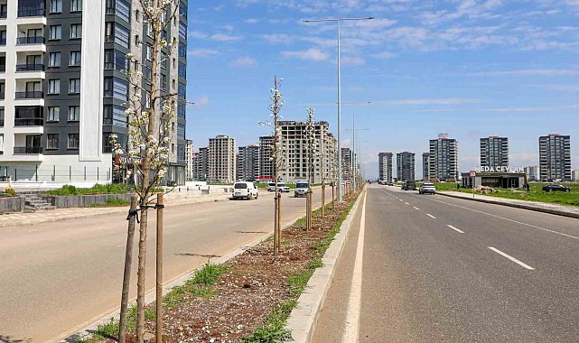 Diyarbakır'da yeşil dönüşüm: 5 bin ağaç dikildi