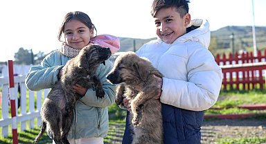 Doğa ve patili dostlar İzmir'de şifa dağıtıyor