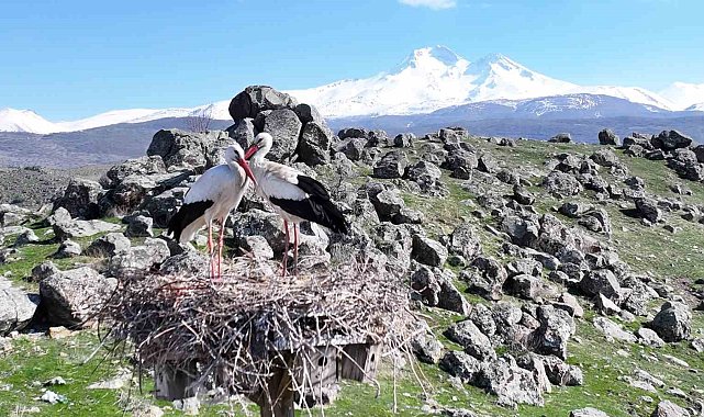 Doğanın uyanışı, Hürmetçi Sazlığı'nda sahneleniyor